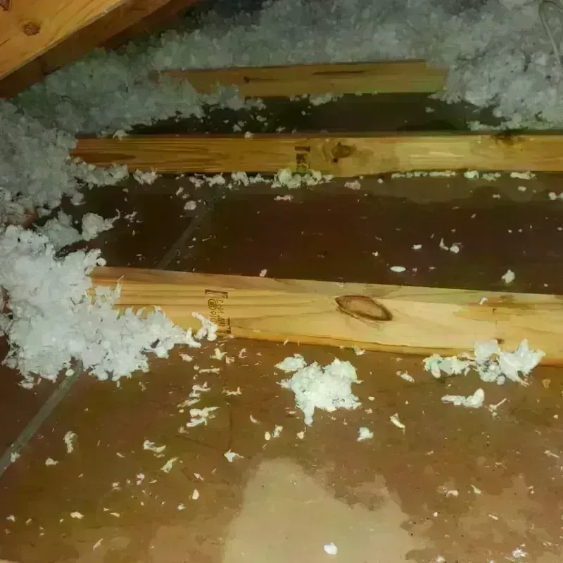 Attic Water Damage in Weimar, TX